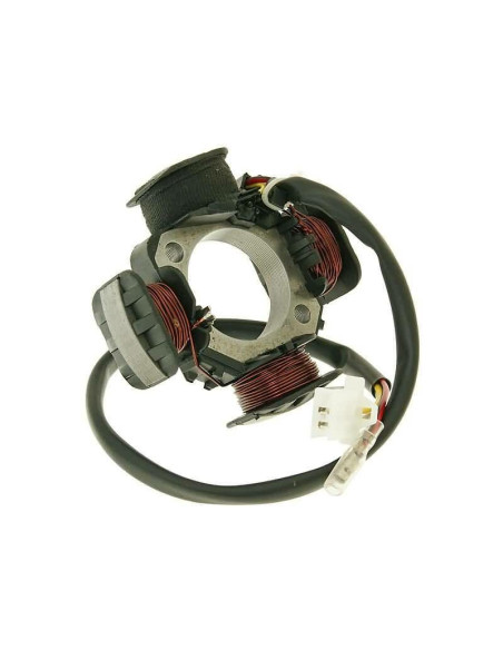 Stator d'allumage alternateur 101 OCTANE Benelli/Derbi/Italjet/Suzuki 50cc