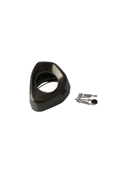 Embout de silencieux AKRAPOVIC Carbone V-EC298