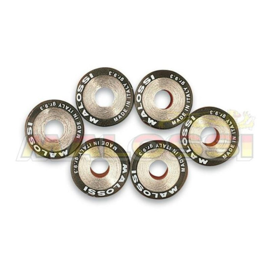 Jeu de 6 galets de variateur origine/Multivar MALOSSI 19x15,5mm