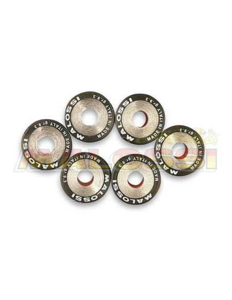 Jeu de 6 galets de variateur origine/Multivar MALOSSI 19x15,5mm