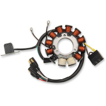 Stator RICK'S POLARIS EDGE/PRO/RMK/SKS/SWITCHBACK/XC