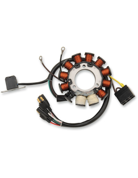 Stator RICK'S POLARIS EDGE/PRO/RMK/SKS/SWITCHBACK/XC