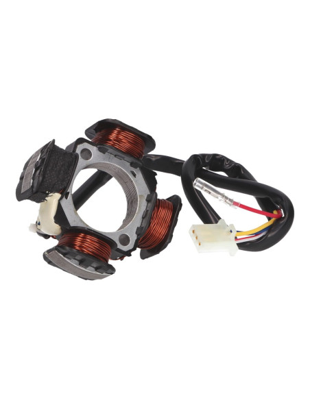 Stator d'allumage alternateur 101 OCTANE Aprilia/Benelli/Derbi/Italjet/Malaguti/Suzuki 50cc