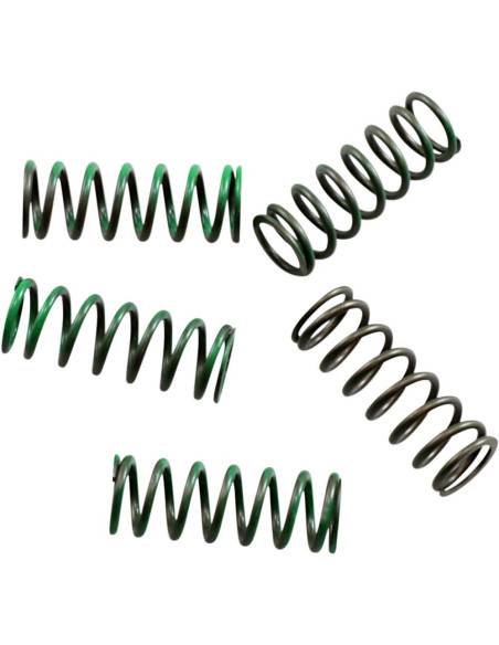 Kit 5 ressorts d'embrayage haute performance HINSON Kawasaki 250 KXF 2006-2018 Suzuki 250 RMZ 2007-2017
