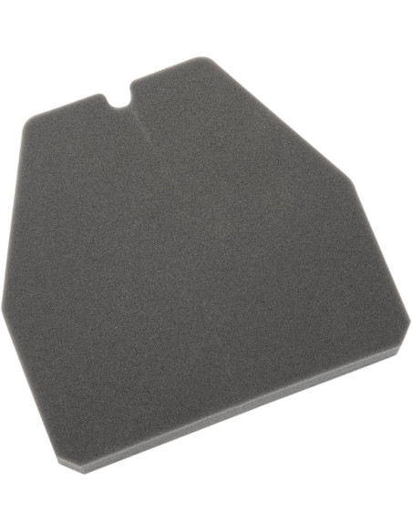 Filtre à air HIFLOFILTRO HFA1210