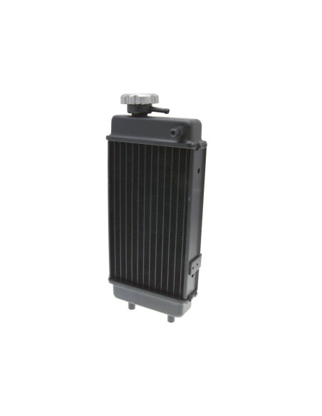 Radiateur 101 OCTANE Generic 50 SM Trigger/Trigger 2006-2014