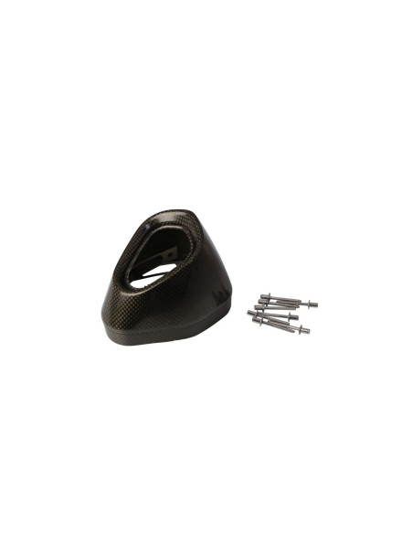 Embout de silencieux AKRAPOVIC Carbone V-EC242