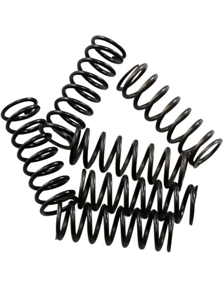 Kit 6 ressorts d'embrayage haute performance HINSON Honda 450 CRF-R 2017-2019 / CR 250 R 1992-2007