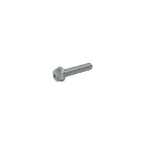 Vis de remplacement AKRAPOVIC P-FB141