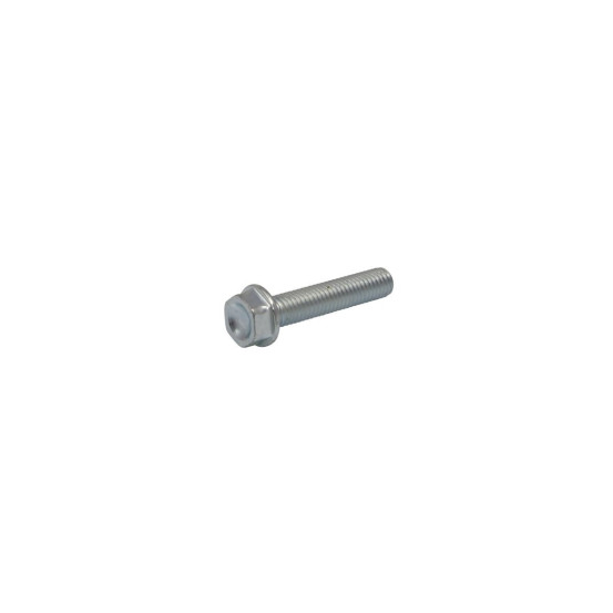 Vis de remplacement AKRAPOVIC P-FB141