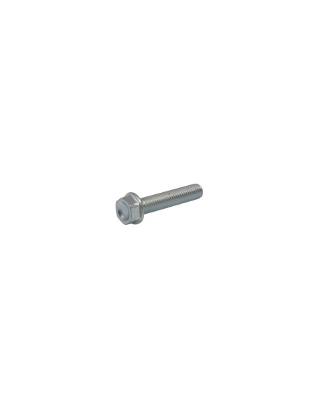 Vis de remplacement AKRAPOVIC P-FB141