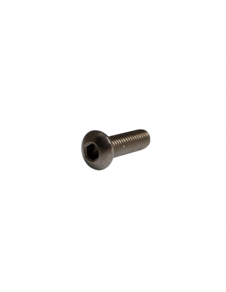 Vis de remplacement AKRAPOVIC P-FB105