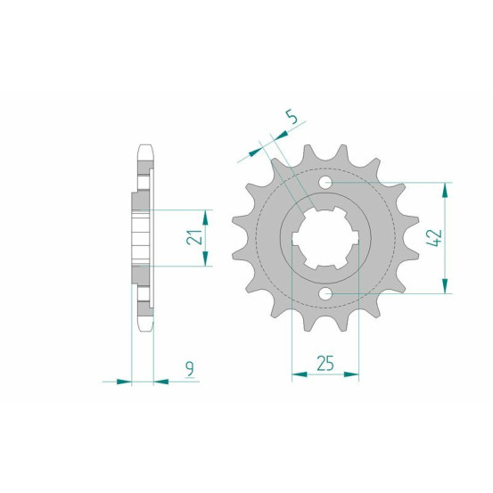 Pignon Sortie Boîte AFAM 21304