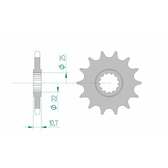 Pignon acier AFAM - Pas 525 - réf 21606