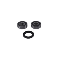 Roulements roue arrière PIVOT WORKS Honda Nightawk / CMT / TL