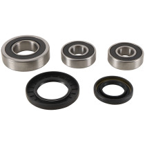 Roulements roue arrière PIVOT WORKS Kawasaki KLV / DL