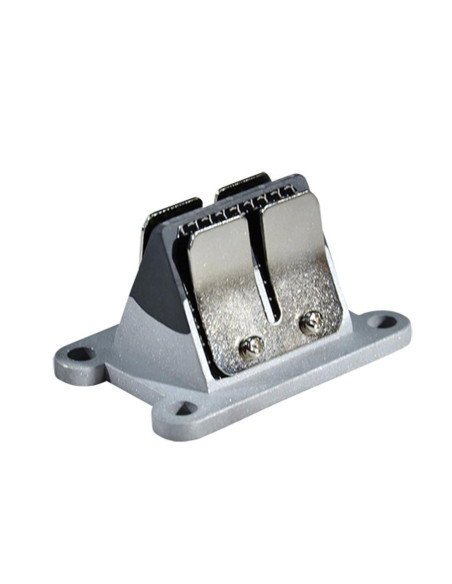 Clapet DOPPLER ER3 Carbone Minarelli 50 AM6