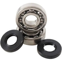Kit roulements vilebrequin HOT RODS POLARIS 1000 RZR