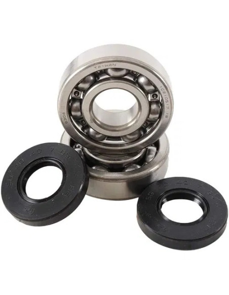 Kit roulements vilebrequin HOT RODS POLARIS 1000 RZR