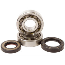 Kit roulements vilebrequin + spys HOT RODS YAMAHA YFZ 450 R