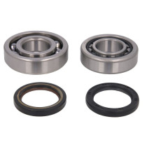 Kit Roulement de vilebrequin + spys Hots Rods 450 CRF-R 2017-2026