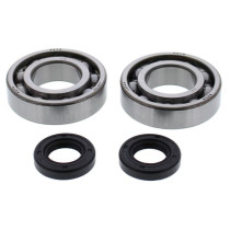 Roulements et joints spi de vilebrequin ALL BALLS - GAS GAS 250 - 280 - 300 TXT 1998-01