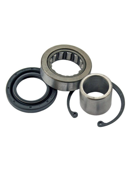 Roulement et joints spi intérieur primaire de vilebrequin ALL BALLS - HARLEY DAVIDSON