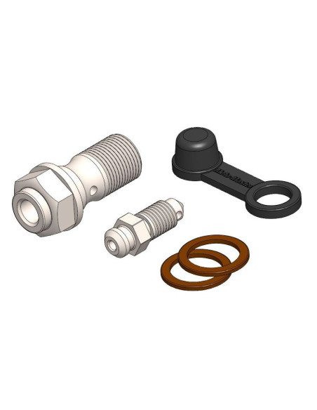 Vis de banjo MOTO MASTER M10x100 avec vis de purge