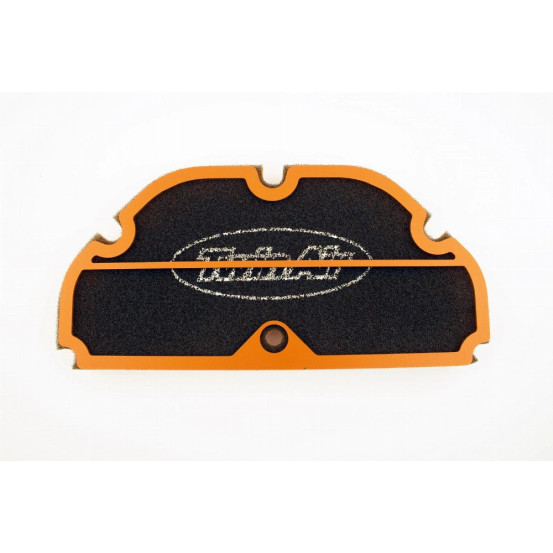 Filtre à air TWIN AIR - BENELLI