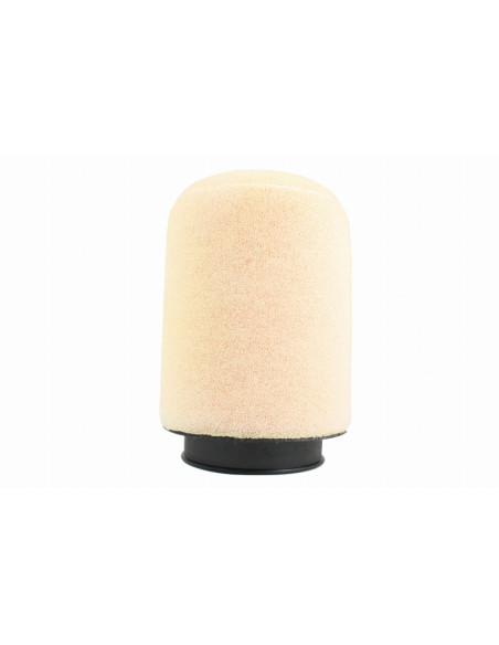 Filtre à air pour kit POWERFLOW TWIN AIR - 250 DS 2006-2014