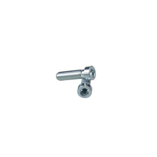 Kit 2 vis de pontet XTRIG M12x45