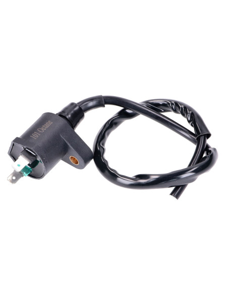 Bobine d'allumage 101 OCTANE Aprilia/Benelli/Beta/Derbi/Generic/Gilera/Honda/Hyosung/Italjet/MBK/Peugeot/PGO/Piaggio/Suzuki/S..