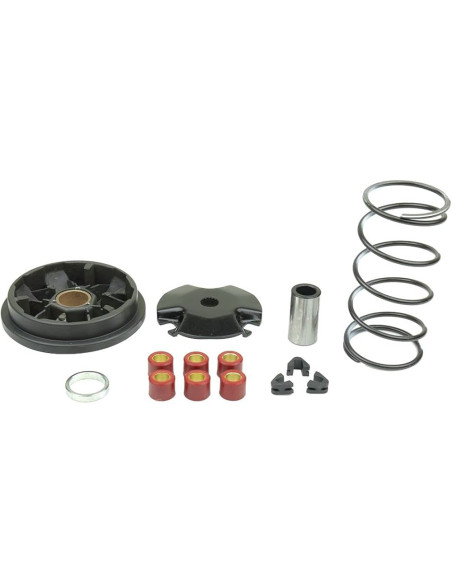 Variateur complet SPEEDMATIC ATHENA - APRILIA - BENELLI - BETA - FANTIC - GARELLI - ITALJET - KTM - MALAGUTI - MBK - SUNDOWN ..