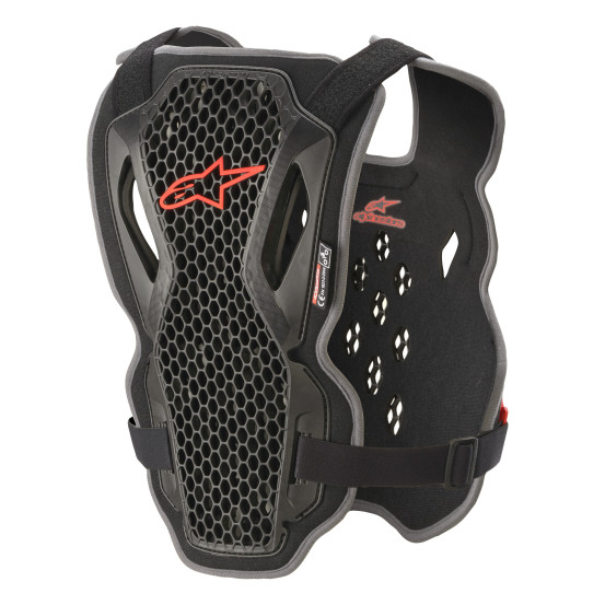 Pare pierre Alpinestars Bionic Action - Noir