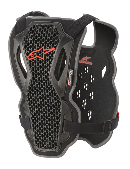 Pare pierre Alpinestars Bionic Action - Noir