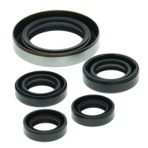 Pochette de joints spi bas moteur VERTEX POLARIS 500 Outlaw 2006 - 2007 500 Predator 2003 - 2007