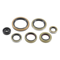 Pochette de joints spi bas moteur VERTEX KTM SX / EXC HUSQVARNA TC / TE GAS GAS 250 EC / MC