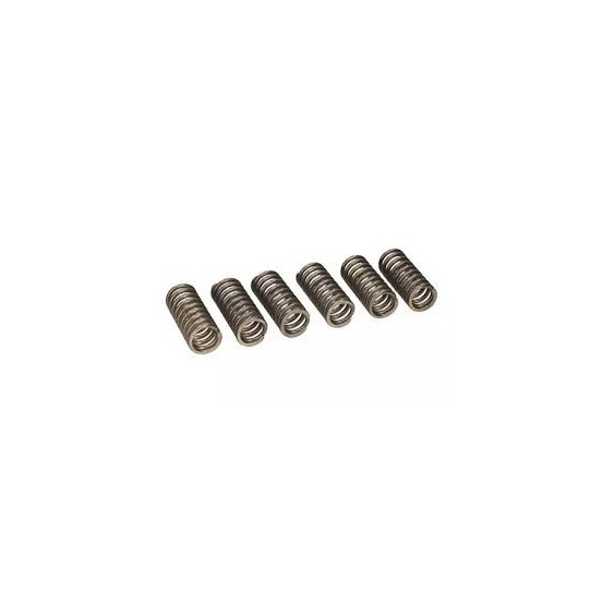 Kit ressorts d'embrayage renforcés TOURMAX KAWASAKI 125 KDX 1990-2004