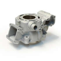 Cylindre nu CYLINDER WORKS - KAWASAKI KX 100cc 2006-2013