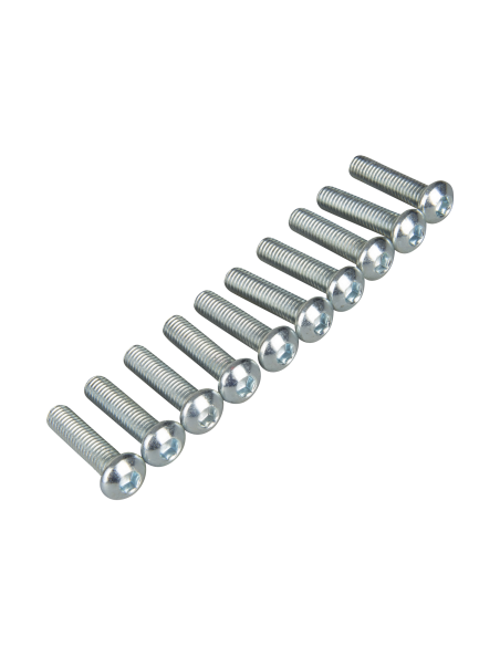 Kit vis tête bombée BOLT (Par 10)