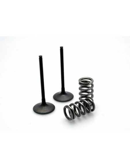 Kit conversion Soupapes d'admission acier + Ressort KTM PROX SX-F 2013-2015 HUSQVARNA FC 2014-2015