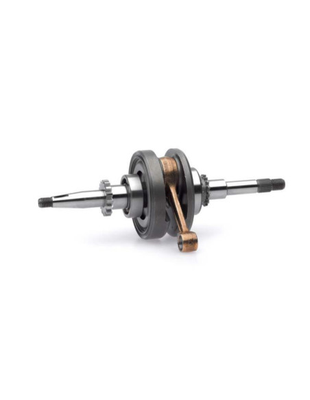 Vilebrequin Origine JASIL Garelli 50 Tesse 2008 Kymco 50 Sento 2009-2012 Peugeot 50 V Clic 2008-2013