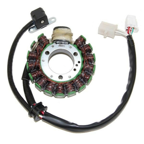Stator ELECTROSPORT Yamaha 250 YFB TimberWolf 1994-2000 250 YFM BearTracker 1999-2000