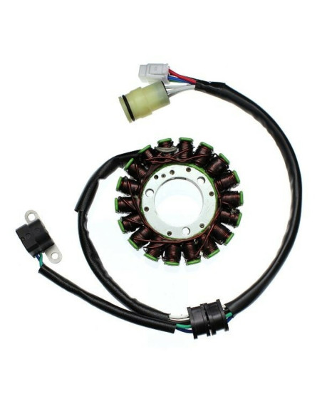Stator ELECTROSPORT Yamaha 250 YFM Bruin 2005-2006 250 YFM Big Bear 2007-2009