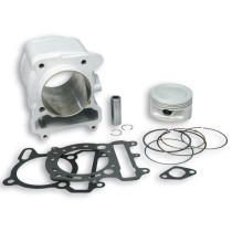 Kit cylindre H2O Malossi Aprilia/Benelli/MBK/Yamaha