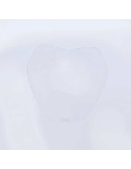 Ecran de protection feu avant R&G RACING translucide - BMW R1250R