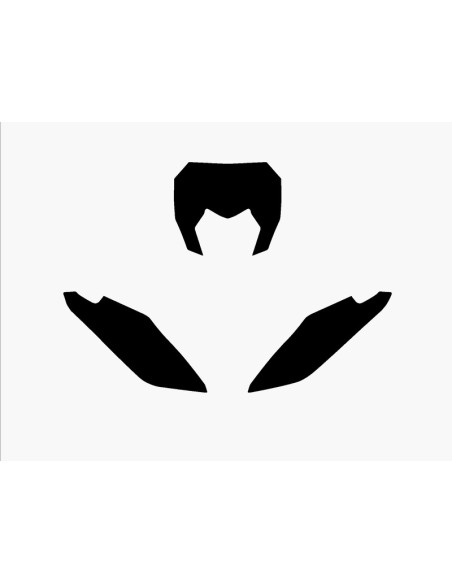 Fonds de plaques BLACKBIRD Fantic XX Noir
