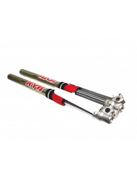 Protections spy de fourche BLACKBIRD courte Rouge