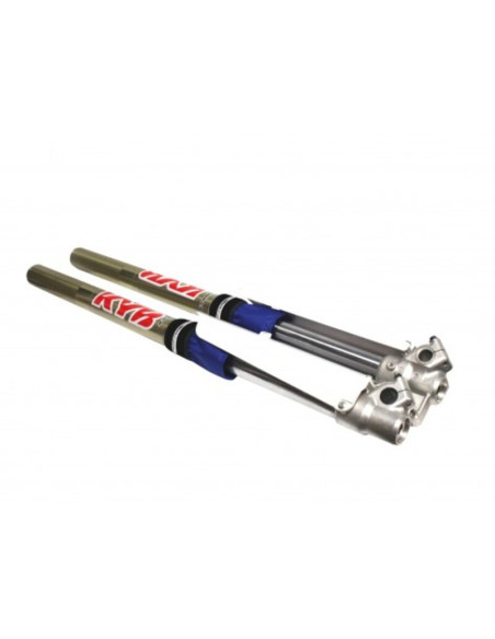 Protections spy de fourche BLACKBIRD courte Bleu