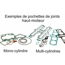 Pochette de joint haut moteur CENTAURO BETA RR 300 2013 - 2024